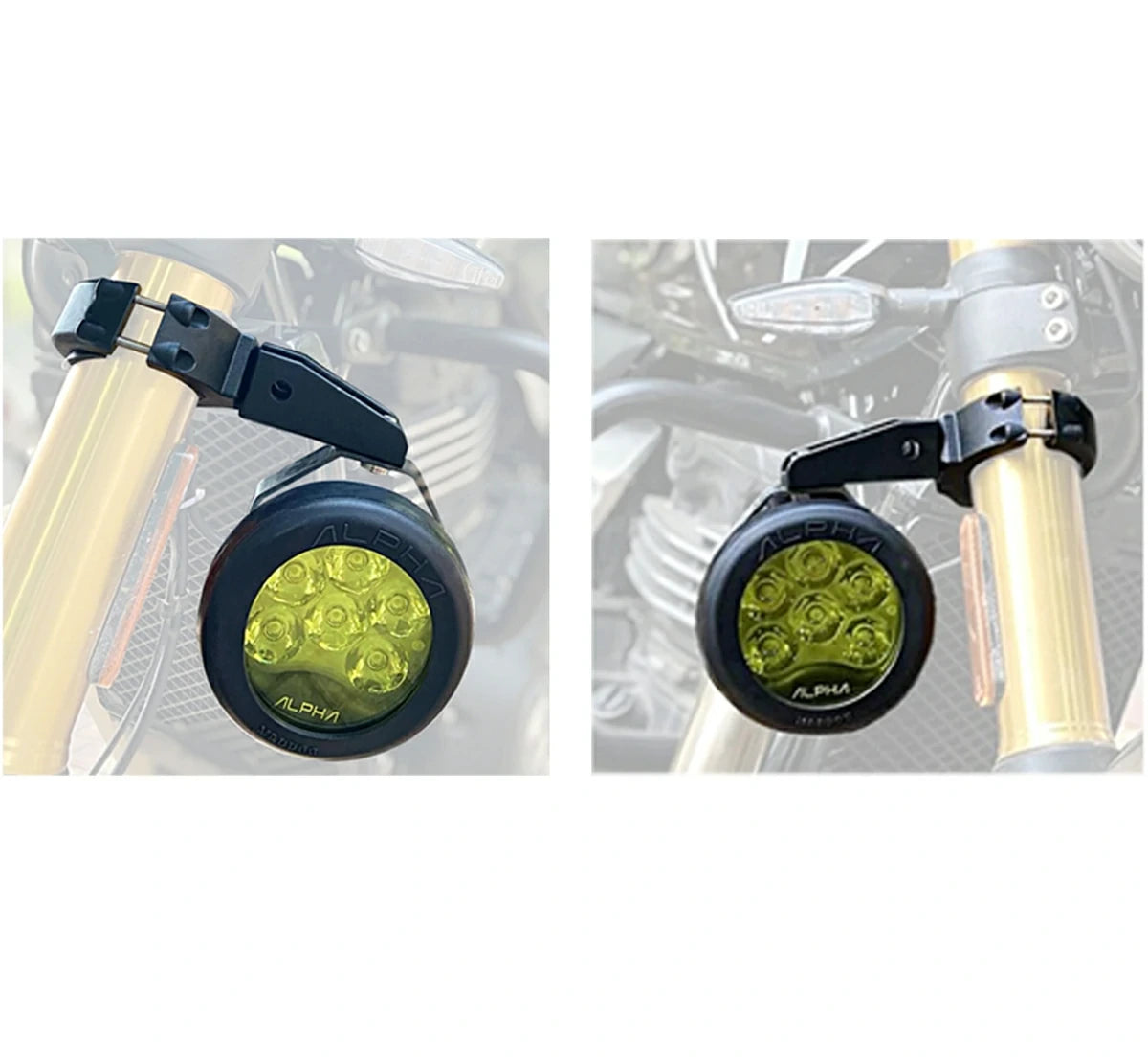 Maddog Clamps Fork Mount